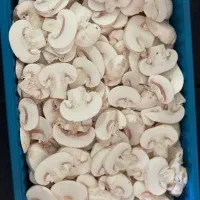 فروش قارچ