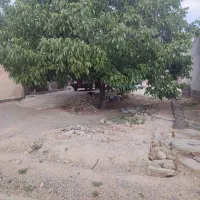 یک خونه باغ کلنگی ۴۹۵ متری ۴فصل خنکترین ابوهوا|فروش خانه و ویلا|اهواز, زندوکیلی|دیوار