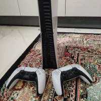 پی اس ۵ اس پلیم