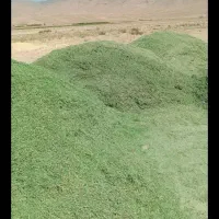 یونجه خرمن کوب درجه یک
