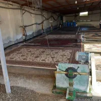 قالیشویی صنعتی میاندوآب