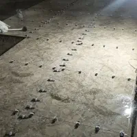 خدمات ساختمانی محمدی