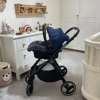 کالسکه کریر لمبر المان