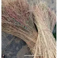 جاروی بلند خیابانی