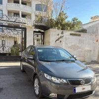 سراتو 1396 تکبرگ سند.