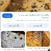 سمپاشی حشرات موذی