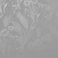 نقاشی ساختمان طرح کاغذ دیواری|خدمات پیشه و مهارت|عجب شیر, |دیوار