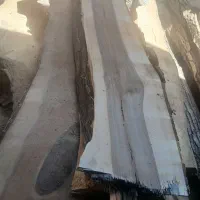 تخته گردو فروشی .چوب گردو .قطر تخته ۷.۵