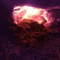 راهنمایی کار