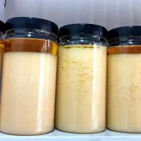 روغن زرد