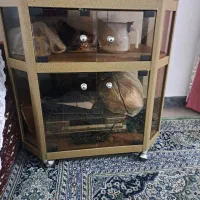 میز عسلی جلو مبلی و میز تلویزیون قدیمی|میز تلویزیون|بابل, |دیوار