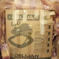 روروک دلیجان