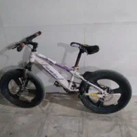 دوچرخه