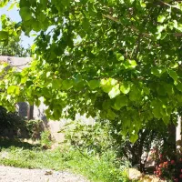فروش-خانه-ویلایی-در-نرجه-تاکستان