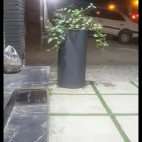 فروش گلدان بتنی
