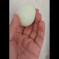 سنگ اجتماعی