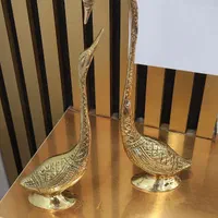 قوی برنجی