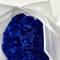 گل ربانی|گل مصنوعی|کاشان, صنعت|دیوار