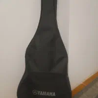 گیتار پیکاپ دار وی کات