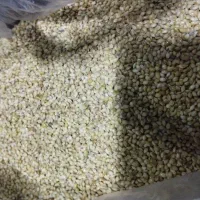 ارزن درجه یک پاک شده و تمیز