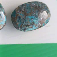 نگین فیروزه گردنی