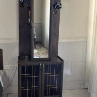 اینه و جاکفشی و تعدادی درختچه