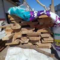 فروش چوب چنار