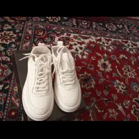 کفش زنانه|کیف، کفش، کمربند|شیراز, تندگویان|دیوار