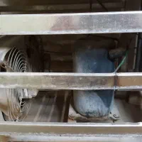 شیردوش صنعتی|ماشین‌آلات صنعتی|چوار, |دیوار