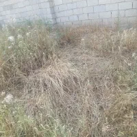 یک-قطعه-زمین-به-متراژ-100متر-اجیرلو-2بفروش-می-رسد