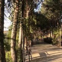 نیروی کار ماهر و ساده