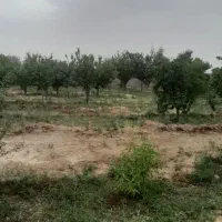 باغ دور دیوار، قبل از پل هوایی دولت آباد، سنگونی|فروش زمین و ملک کلنگی|نیشابور, مازول|دیوار