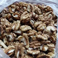 مغز گردو|خوردنی و آشامیدنی|ساری, |دیوار