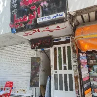 استخدام نیروی فعال