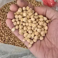 نخود سه خان درجه ۱|عمدهفروشی|نهاوند, |دیوار