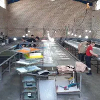سر کمر زن جین‌ ، دمپا زن ، پنج نخ زن جین
