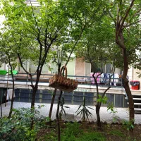 خوابگاه دخترانه لیانا (بدون ودیعه)