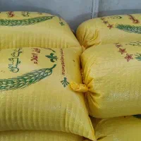 فروش برنج هاشمی درجه ۱