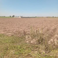 فروش زمین کشاورزی( ۸هزار و ۵۰۰ متر مربع )