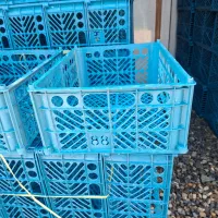 کارگر ساده برای بسته بندی سبد میوه|استخدام صنعتی، فنی، مهندسی|امیرکلا, |دیوار