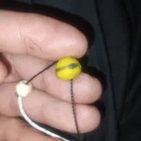 مهره  زنده|کلکسیون اشیاء عتیقه|جیرفت, |دیوار