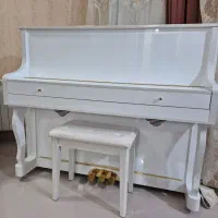 پیانو کاملا نو|پیانو، کیبورد، آکاردئون|بوشهر, |دیوار