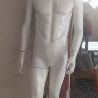 مانکن مردانه وزنانه
