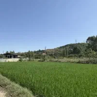 زمین باغی و ویلایی