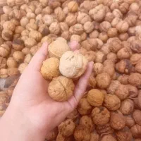 گردوی باکیفیت