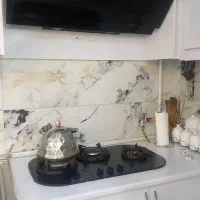 هود و گاز صفحه ای