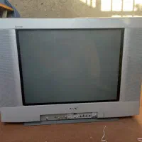 تلویزیون سنی کارکرد