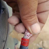 پلاکی عربستان|پرنده|بردخون, |دیوار