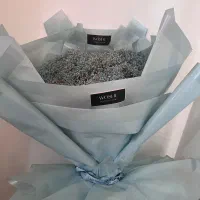 گل ژیپس از فروشگاه ووشه‌