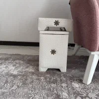 سطل زباله و جا دستمال